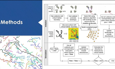 Forestry impacts on caribou