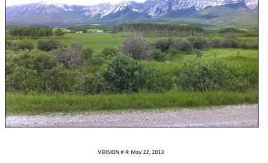 McCleary 2013 Effects Assess-1