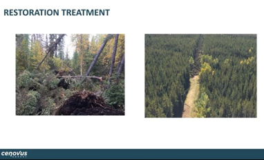 Seismic Restoration Field Trials