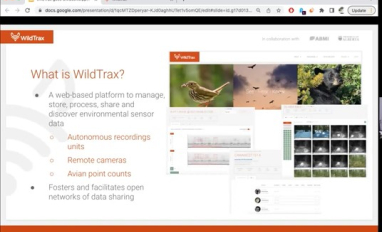 WildTrax website