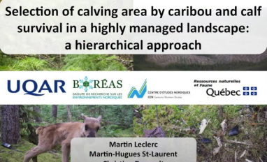 calve area carib prev.JPG 