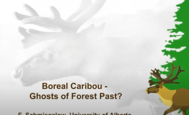 caribghost schmie preview.JPG