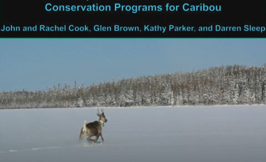 cook nutri carib prev.JPG 