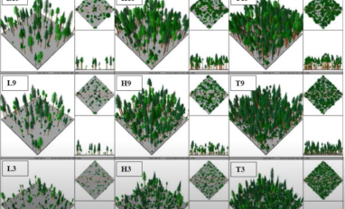 hicks adapt manage montana