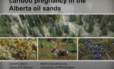 nutri mech carib prev.JPG