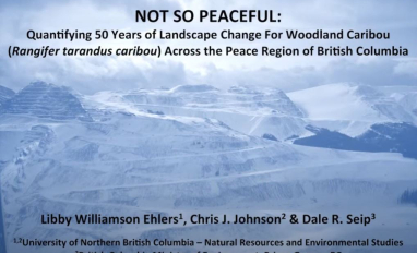 peace land carib prev.JPG 