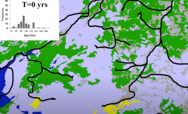 rip zone land andison.JPG 