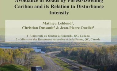 roads carib prev.JPG