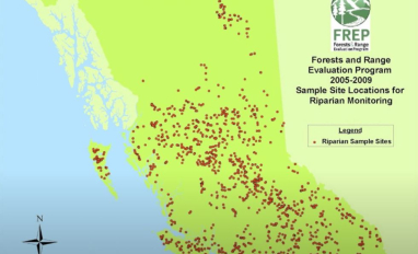 streammanage tripp.JPG 