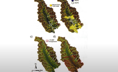 tri-creeks study.JPG 