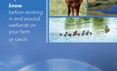 nawmp alberta policy guide