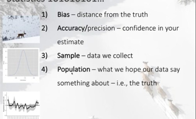 Caribou population models