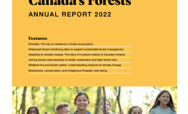 State of Canada's Forests Report cover depicting six children walking in a forest setting