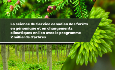 Canadian Forest Service (CFS) genomics and climate change brochure