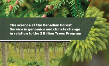 Canadian Forest Service (CFS) genomics and climate change brochure