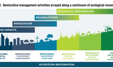 SER Restoration Continuum