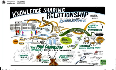 Wapusk National Park