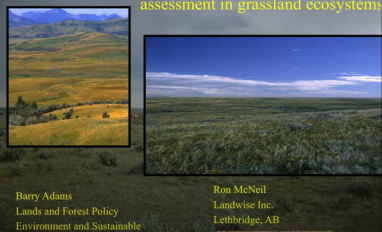 adams agrologists conf