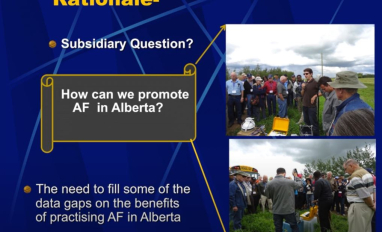 baah-acheamfour futursol