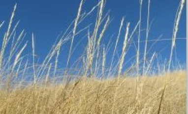 SALMTEC vegetation course