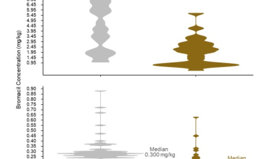 Median bromacil concentration in soil
