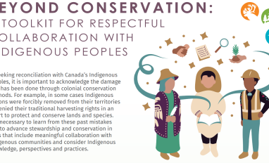 Brief for Beyond Conservation Toolkit