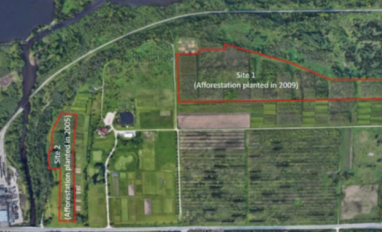 Map overview of study site