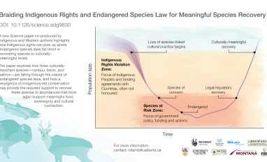 Infographic - Braiding Indigenous Rights and Endangered Species Law