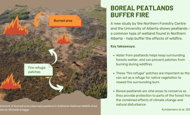Peatlands promote fire refugia in boreal forests of northern Alberta, Canada
