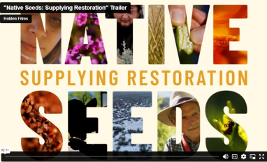 SER Native Seeds Videos