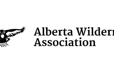 AWA Logo