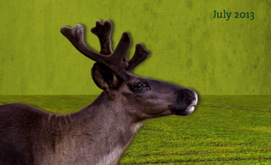 Cover page of report