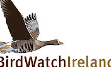 Bird Watch Ireland