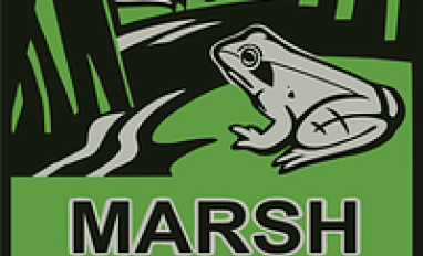 Marsh Watch