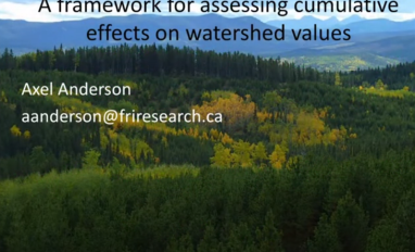 Anderson cumulative watershed