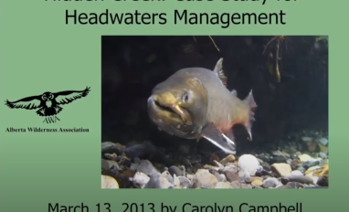 Campbell headwaters management