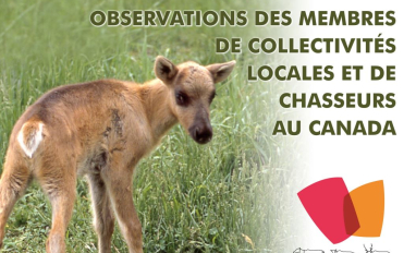 capture de page couverture 