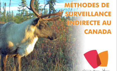 capture de page couverture 