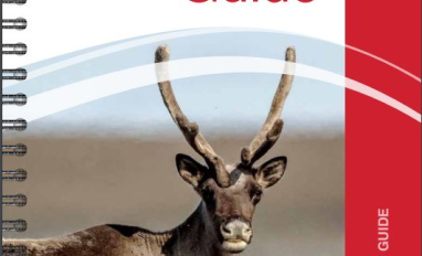 Screenshot of cover image 