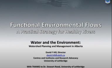 Hill Functional Flows