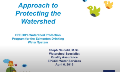 Neufeld Holistic Watershed