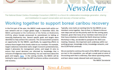 Newsletter cover page