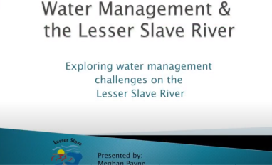 Payne lesser slave management