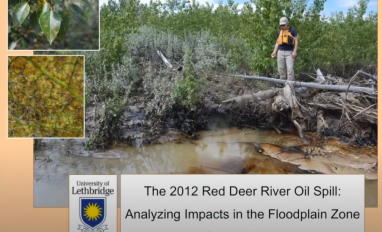 Rood oil spill impacts