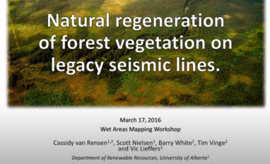 Van Rensen Natural regen