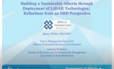 White LiDAR Reflections