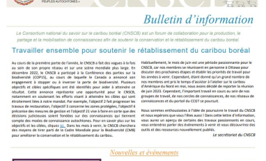 bulletin d'info ed.17