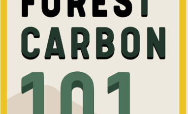 Forest Carbon