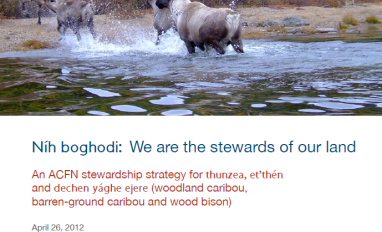 Cover page of report