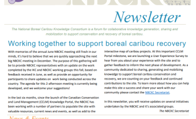 Newsletter cover page